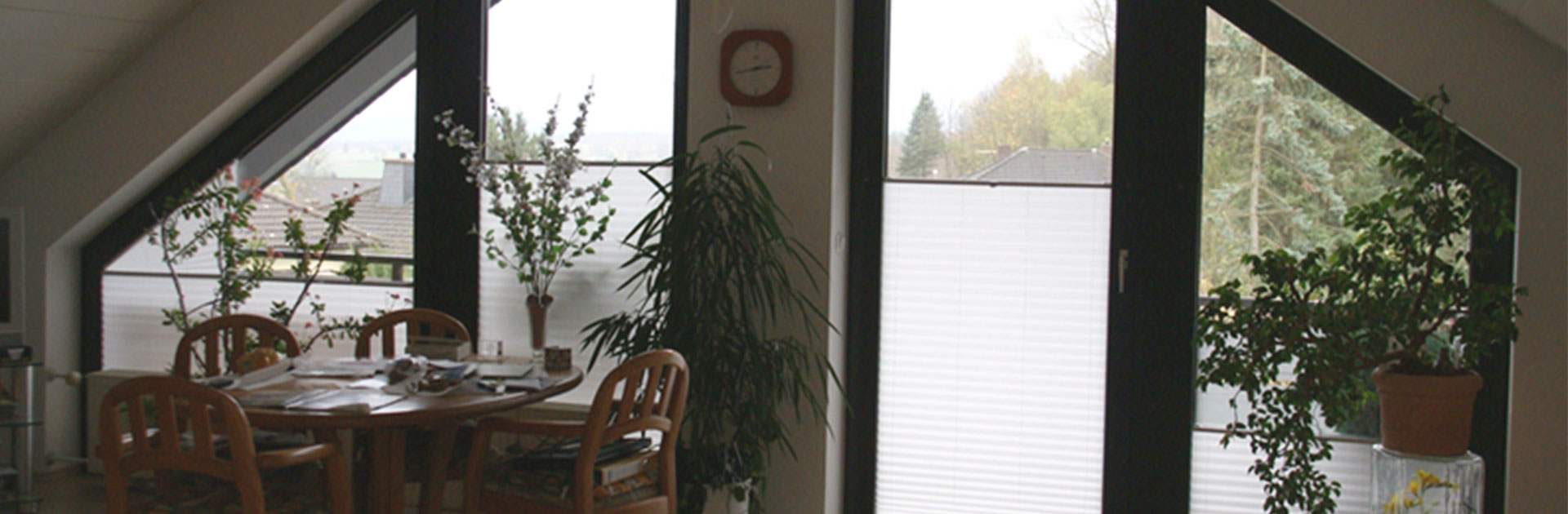 Trapezfenster Plissee